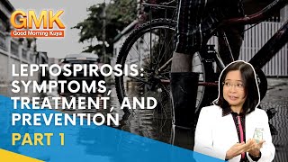 Leptospirosis Symptoms Treatment and Prevention Part 1  Usapang Pangkalusugan [upl. by Esilanna]