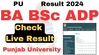 Result Check 2024 ADA ADS ADP BA BSc Exams 2024 PU  Punjab University Result 2024 [upl. by Alisen]