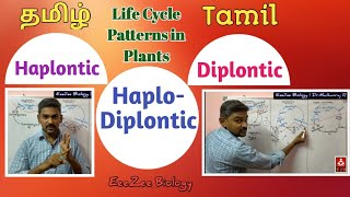 Haplontic  Diplontic  HaploDiplontic  Life Cycle Patterns in Plants [upl. by Terraj]