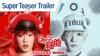 CELLS AT WORK  Super Teaser Trailer [upl. by Ahselak313]