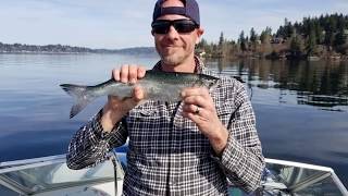 First time fishing Lake Sammamish 2019 [upl. by Evelunn]