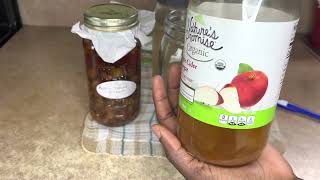 How To Grow an Apple Cider Vinegar Mother Scoby at Home [upl. by Iana496]