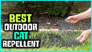 Top 6 Best Outdoor Cat Repellents Review for YardGarden 2023  Motion Activated amp Spray Repellent [upl. by Ydda]