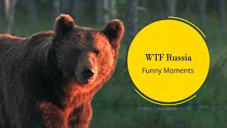 WTF Russia Funny Moments  A normal day in Russia  Meanwhile in Russia  Russian reaction to bears [upl. by Llerruj]