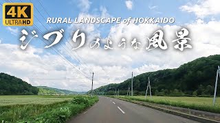 Hokkaido Travel 4K Driving in Hokkaidos rural Landscape in Summer Like Ghibli in Japan [upl. by Ray]