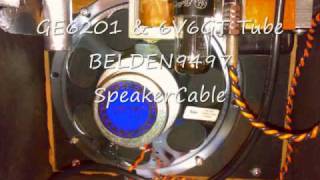 Fender Champion 600 with Weber Alnico Signature 8 for Blues Harp Photo amp Demo [upl. by Alekin]