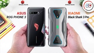 Asus Rog Phone 3 vs Xiaomi Black Shark 3 Pro  Full Comparison  Which is Best [upl. by Notlem]