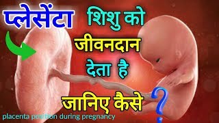 Placenta Kya Hai  Placenta Position During Pregnancy  Pink Glow [upl. by Otsirc]