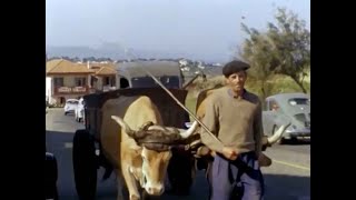 Le Pays Basque en 1960 [upl. by Ahcilef]