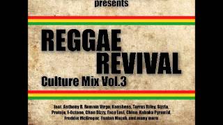 FreeRootsSound  ReggaeRevival  CultureMixVol3 2012 [upl. by Rayner]