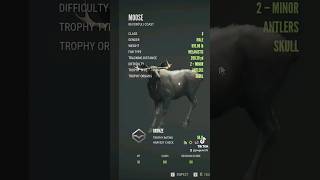 melanistic moose goes down thehuntercallofthewild tiktok gaming hunts huntting [upl. by Rolyak]