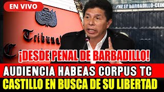 🔴EN VIVO AUDIENCIA DE HABEAS CORPUS DE PEDRO CASTILLO ¡BUSCA SU LIBERTAD  HOY 41223 [upl. by Eitak258]