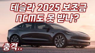 테슬라 2025년 보조금 NCM LFP 둘 다 못 받나 [upl. by Tanny]