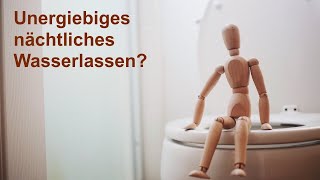 Unergiebiges Wasserlassen in der Nacht spagyrisch behandeln [upl. by Yung]