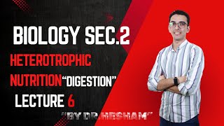 lecture 6 heterotrophic nutrition digestion and absorption of digested food  biology sec 2 [upl. by Alocin]