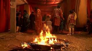 Lohri  Indias bonfire festival [upl. by Wendye806]