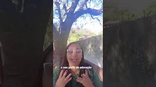 Continue Adorandooquedeusestafazendoagoramotivacionalpalavradedeusviralvideofe [upl. by Sheba175]