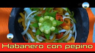 salsa habanero con pepino [upl. by Lael840]