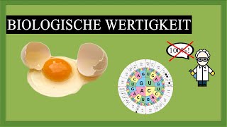 Biologische Wertigkeit  Warum die Proteinmenge nicht ausschlaggebend ist [upl. by Aifos851]