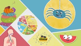 Health Tips Food Nutrition Facts and Benefits Habits and Manners  Health Education by Mocomi Kids [upl. by Walston211]