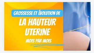 HAUTEUR UTERINE PENDANT LA GROSSESSE [upl. by Hillell]