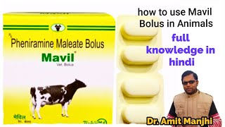 vet Bolus  Mavil vet Bolus Pheniramine Maleate Bolus Pheniramine Maleate Mavil Bolus [upl. by Guinn339]