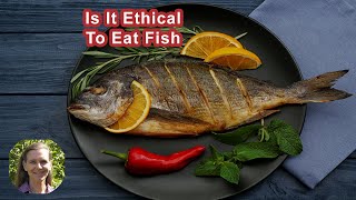 Is It Ethical To Eat Fish If They Feel Pain [upl. by Liatnahs]