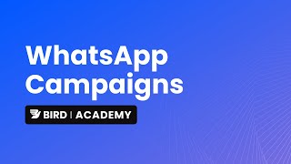 Create and send a WhatsApp campaign [upl. by Jarrow]