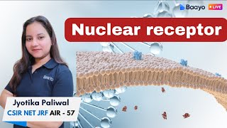 Nuclear receptor  Cell signaling  Hindi [upl. by Ahsaek]