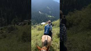 Scary horse trekking in the edge of a mountain [upl. by Latrina]