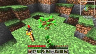 Minecraft  Floating Island Survival 05  Gremu amp MacieGTMPI  MACIEK TEPAJ [upl. by Lemyt]