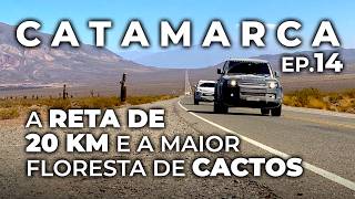 Ep14 Cactos gigantes na descida dos Andes • Catamarca 4x4 [upl. by Nassah]