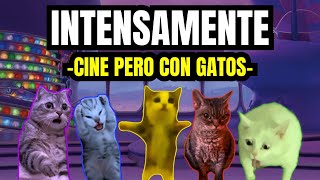 INTENSAMENTE  cine pero con gatos meme de gatos [upl. by Cassey202]