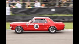 81st Members Meeting Goodwood Motor Circuit 2024 Ken Miles Cup [upl. by Philipson]