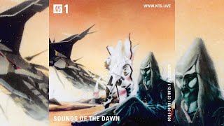 SOTD on NTS 107 New Age  Ambient  World  Electronic  Synth  Psych  Jazz Music Cassette Mix [upl. by Sehcaep657]