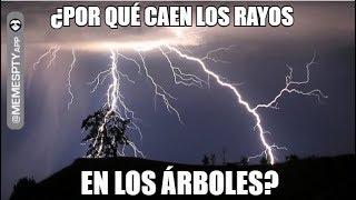 ¿POR QUÉ CAEN LOS RAYOS EN LOS ÁRBOLES [upl. by Leind57]