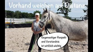 Bodenarbeit für Anfänger Hinterhandwendung Vorhandweichen auf Distanz [upl. by Akirderf518]