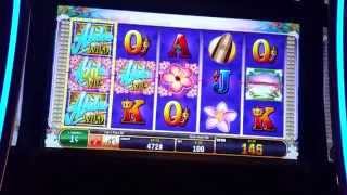 Aloha Delight slot machine at Foxwood casino [upl. by Cameron]