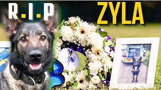 Heartbreaking tributes paid to Leicestershire police dog who died in line of duty  show me dogs [upl. by Meilen720]