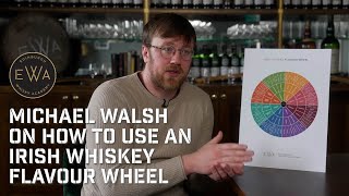 Michael Walsh on Edinburgh Whisky Academy’s Irish Whiskey Flavour Wheel [upl. by Debbie]