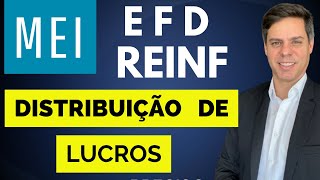 MEI  EFDREINF NA DISTRIBUIÃ‡ÃƒO DE LUCROS  TODOS OS DETALHES [upl. by Bartolome]