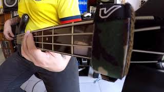 Johnny Clegg amp Savuka  Dela Bass Cover [upl. by Norry427]