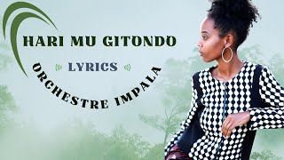 Hari Mu Gitondo Lyrics by Orchestre Impala Rwanda Songs Karahanyuze Nyarwanda ZUrukundo Zakunzwe [upl. by Binnings]