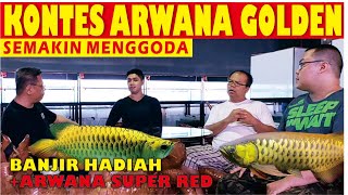 KONTES ARWANA GOLDEN SEMAKIN MENGGODA MALAH BANJIR HADIAH [upl. by Aldo]