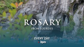 Rosary from Lourdes  28042024 [upl. by Kreiner]