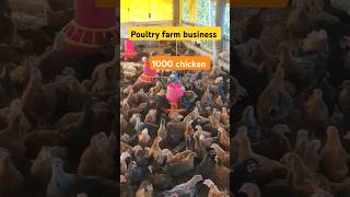 Poultry farm business training poultryfarmbusiness poultryfram ytstudio birds business [upl. by Sucrad]