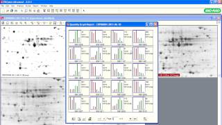 PDQuest™ Software Tutorials — Generating Reports [upl. by Oruasi]