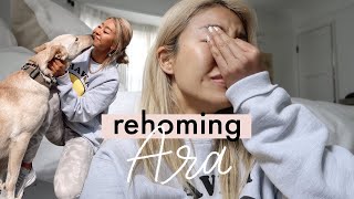 Rehoming my dog Ara  Ep 6  RRAYYME [upl. by Wahl891]