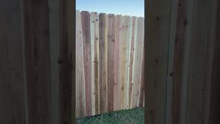 New cedar fence construction bluecollar diy [upl. by Misab]