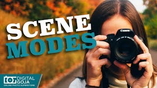 Scene Modes I Canon EOS Rebel T7i [upl. by Ignatz]